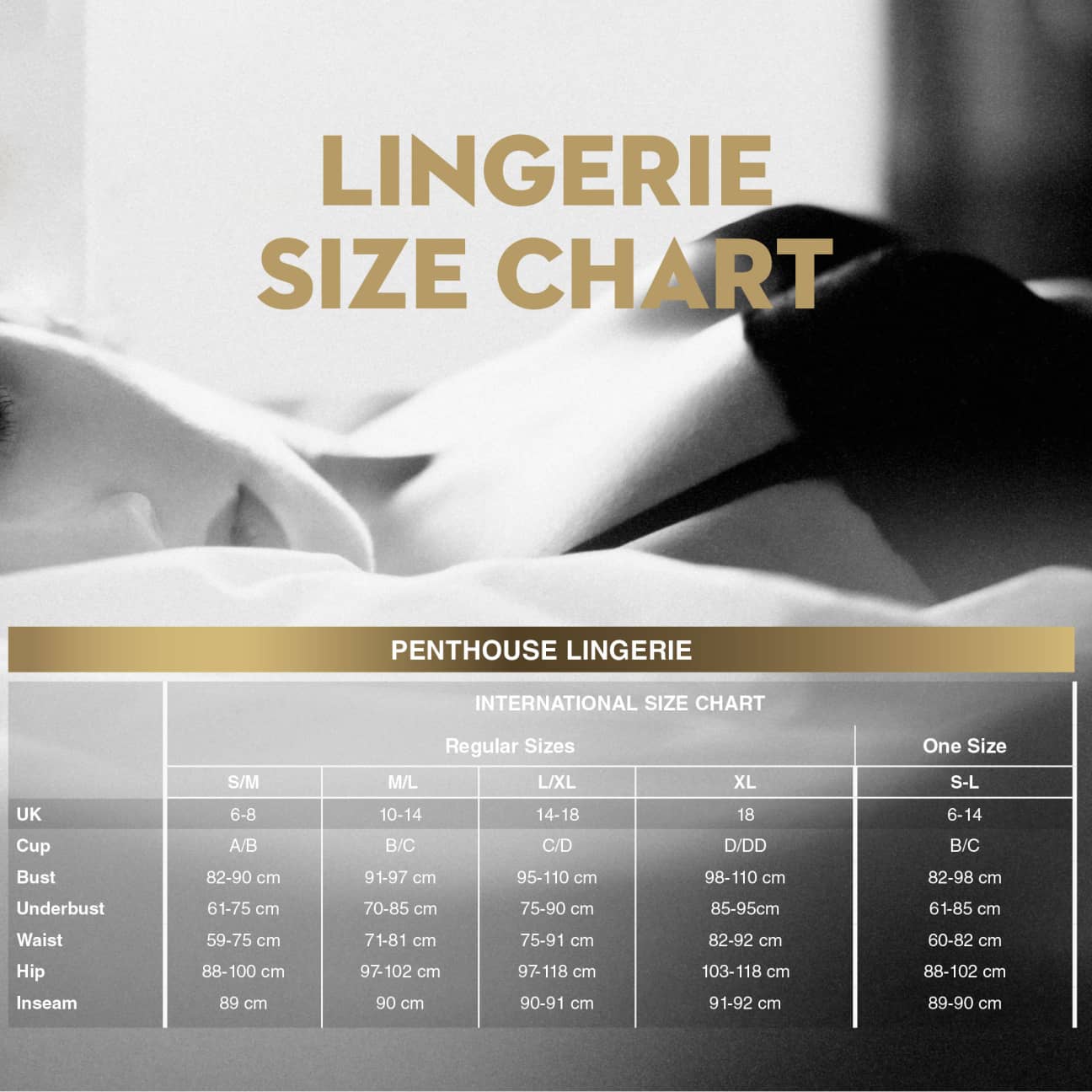 Penthouse First Lady Black bodystocking S-L, back view